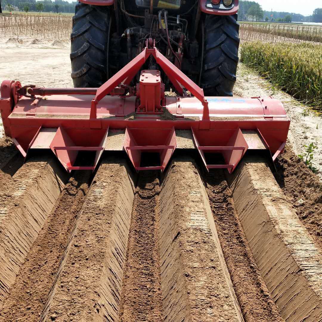 <a href=http://m.bpbgy.cn/ target='_blank'>開溝機</a>